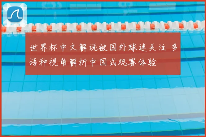 世界杯中文解说被国外球迷关注 多语种视角解析中国式观赛体验