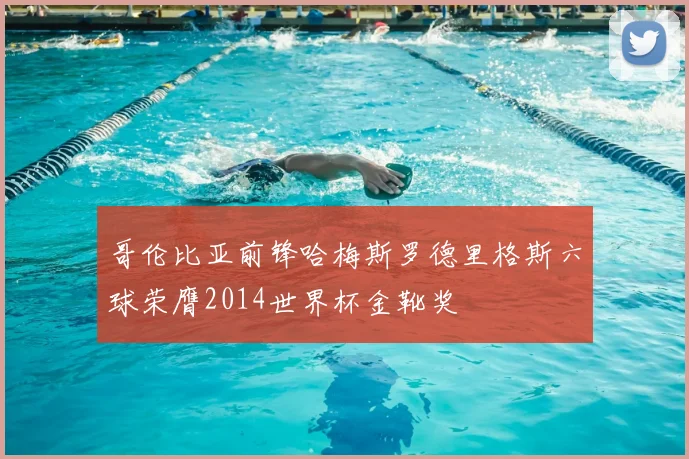 哥伦比亚前锋哈梅斯罗德里格斯六球荣膺2014世界杯金靴奖